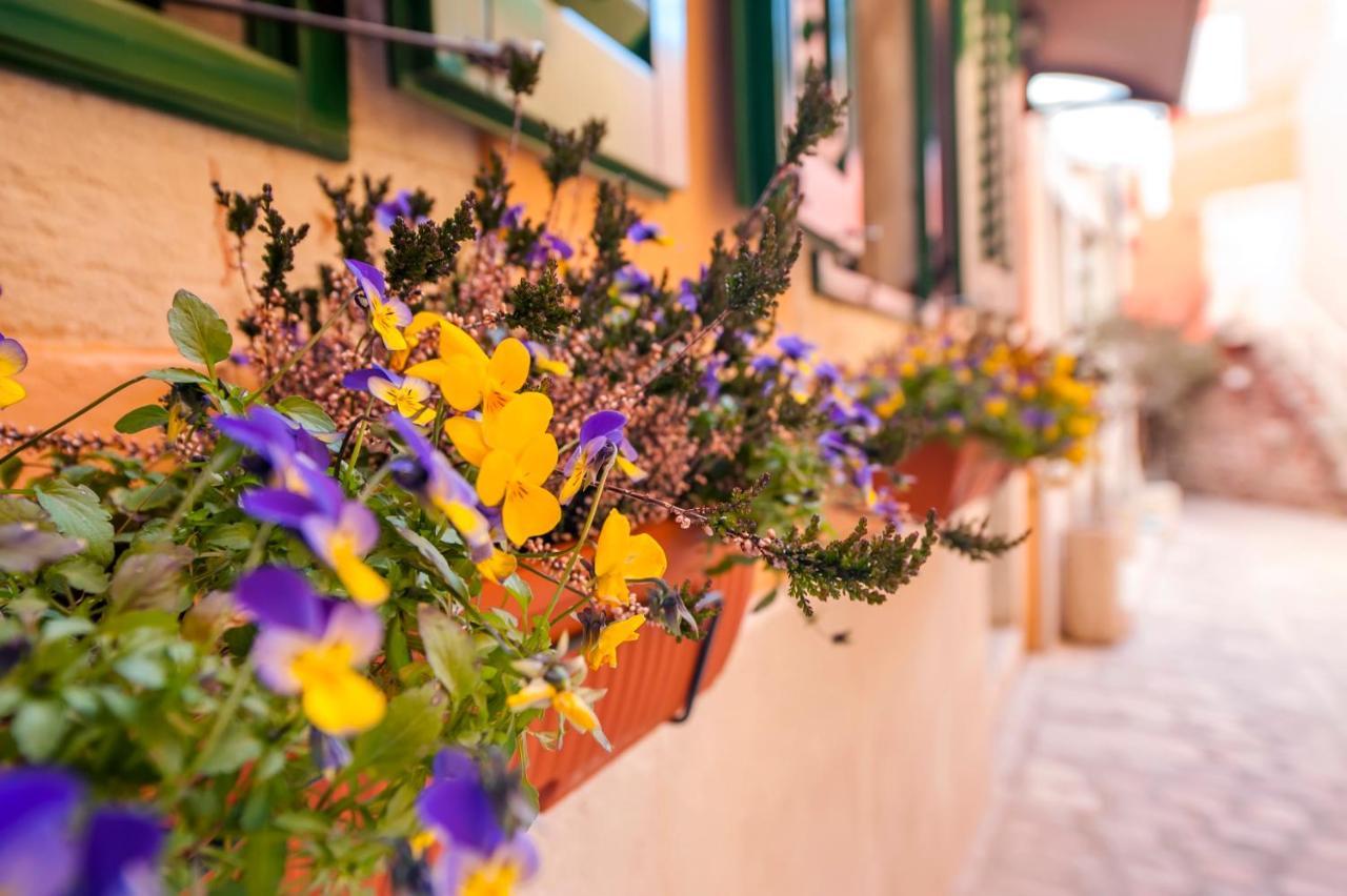 Guest House Sotto I Volti Centro Storico Rovinj Zewnętrze zdjęcie
